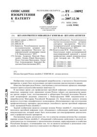 Загрузка...