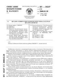 Загрузка...