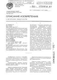 Загрузка...