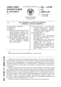 Загрузка...
