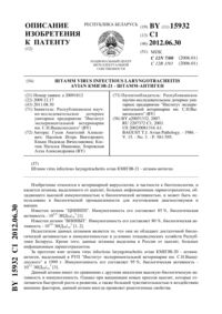 Загрузка...