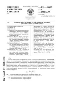 Загрузка...