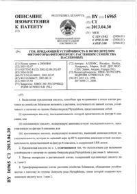 Загрузка...