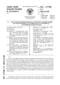Загрузка...
