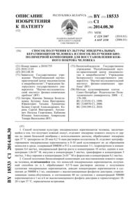 Загрузка...