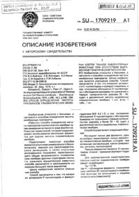 Загрузка...