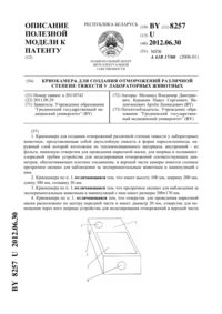 Загрузка...